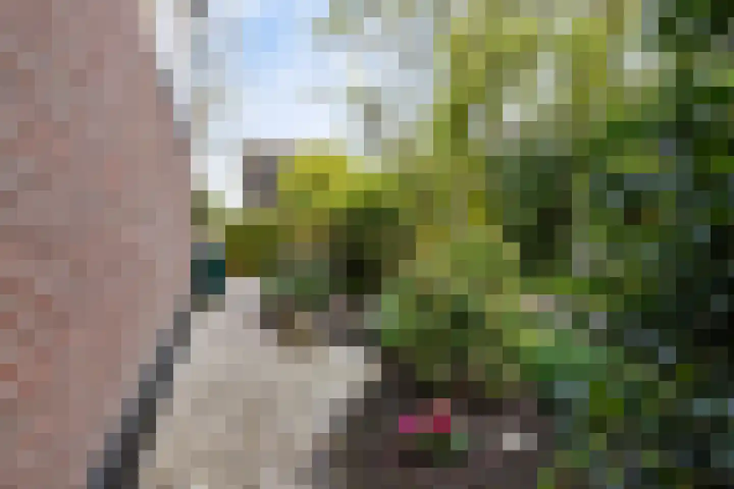 Horseweg 22 Sneek thumbnail 8