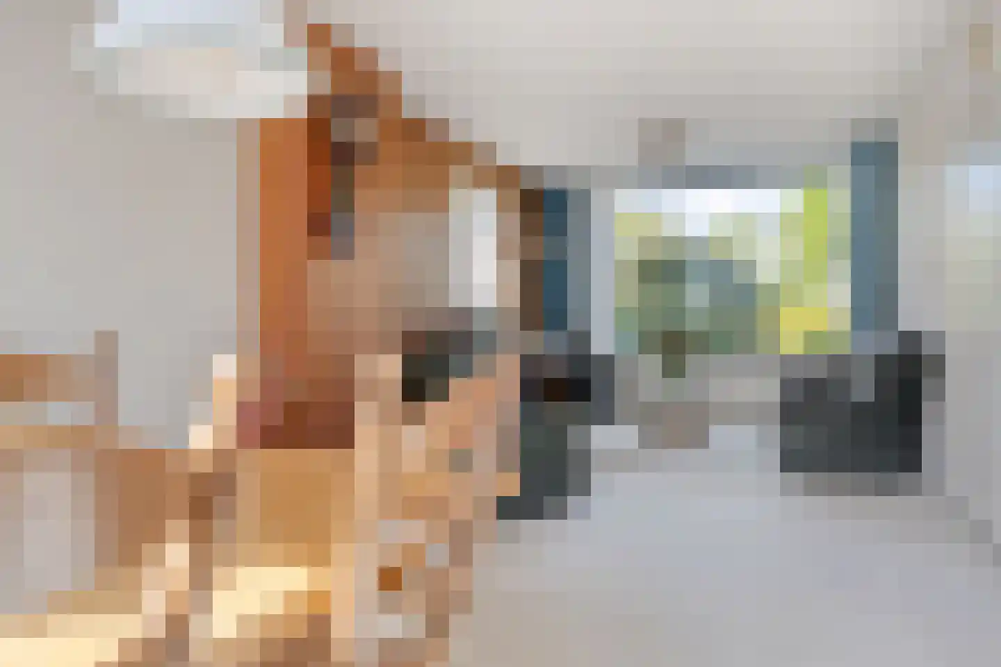 Horseweg 37 Sneek thumbnail 13
