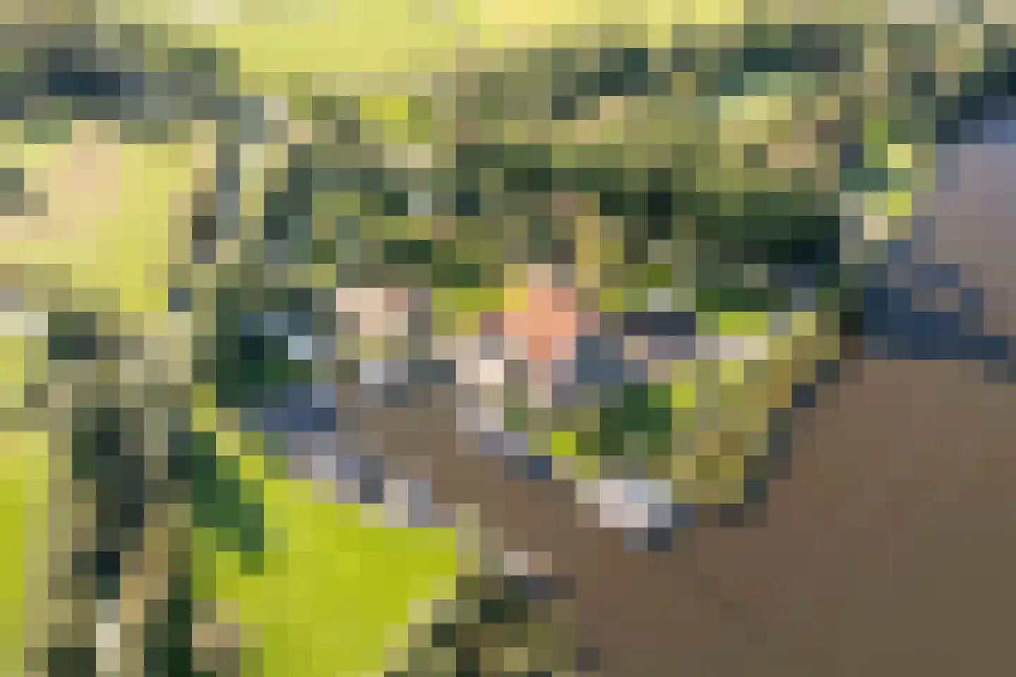 Horsewei 10 Boornzwaag