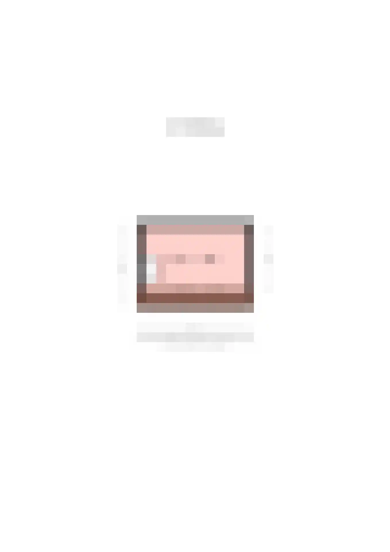 Horsewei 10 Boornzwaag thumbnail 100
