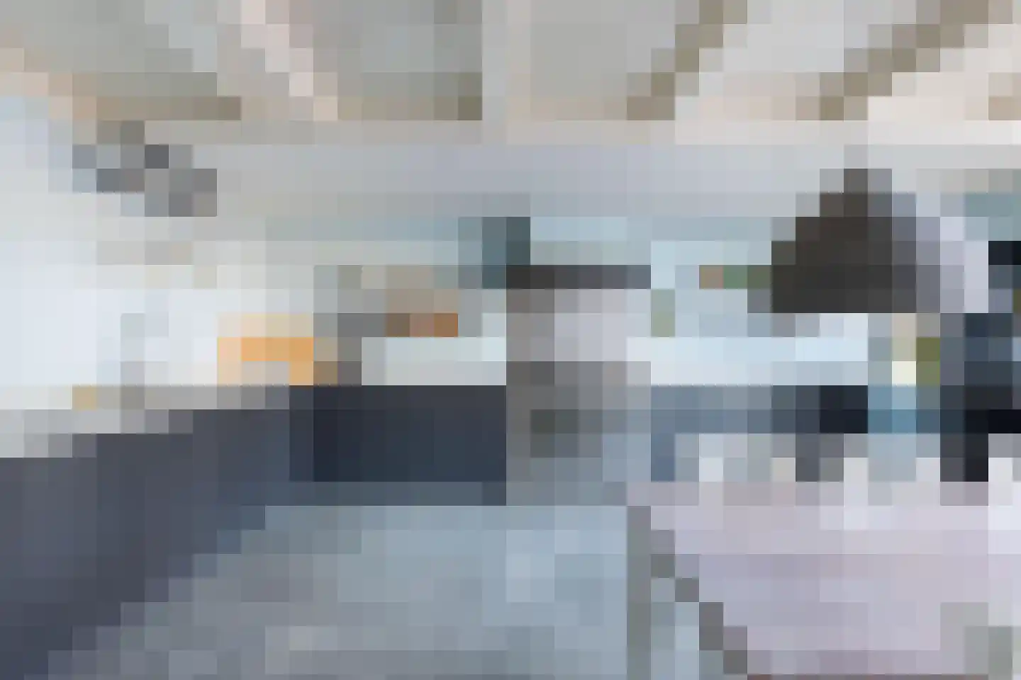 Horsewei 10 Boornzwaag thumbnail 11