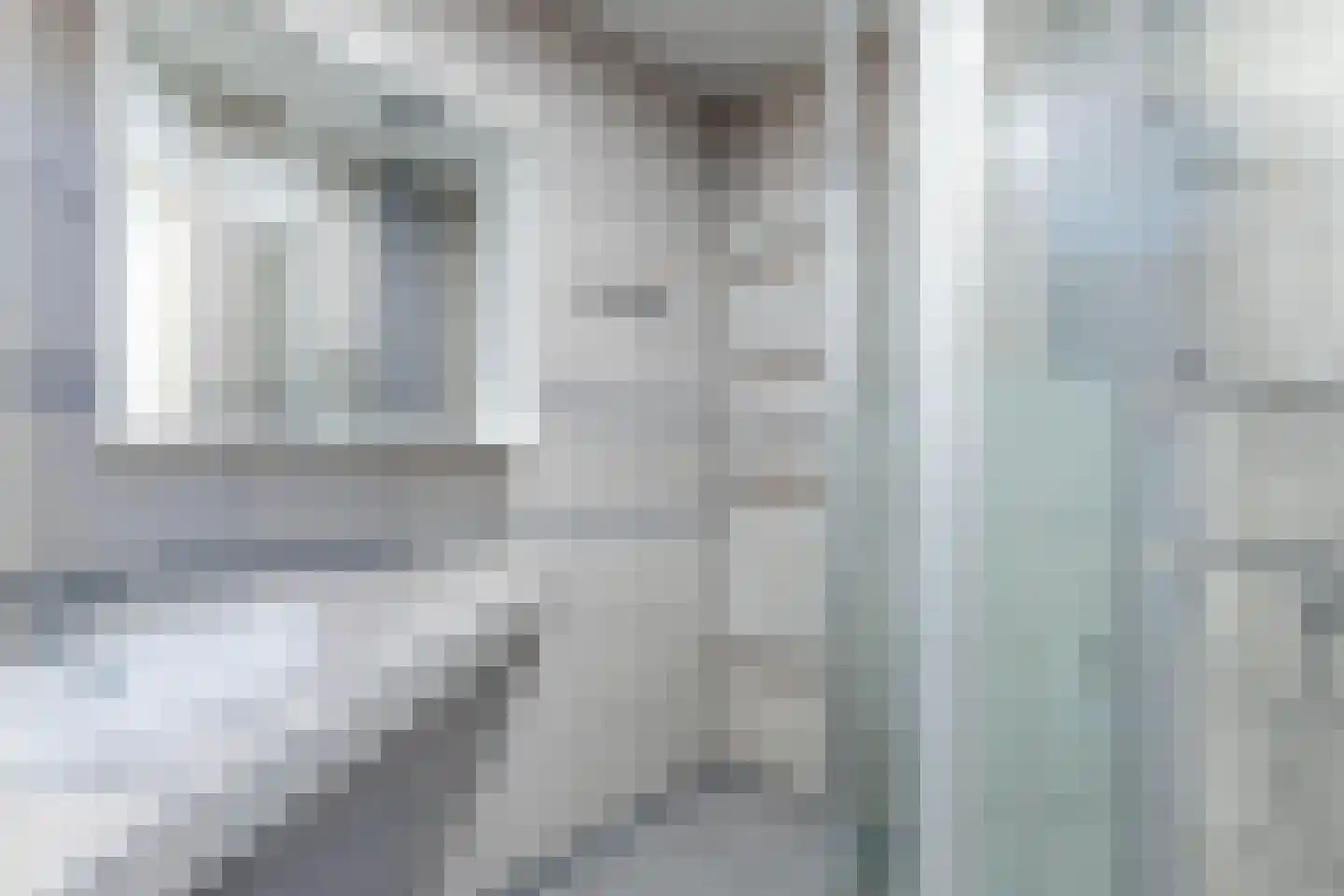 Horsewei 10 Boornzwaag thumbnail 40