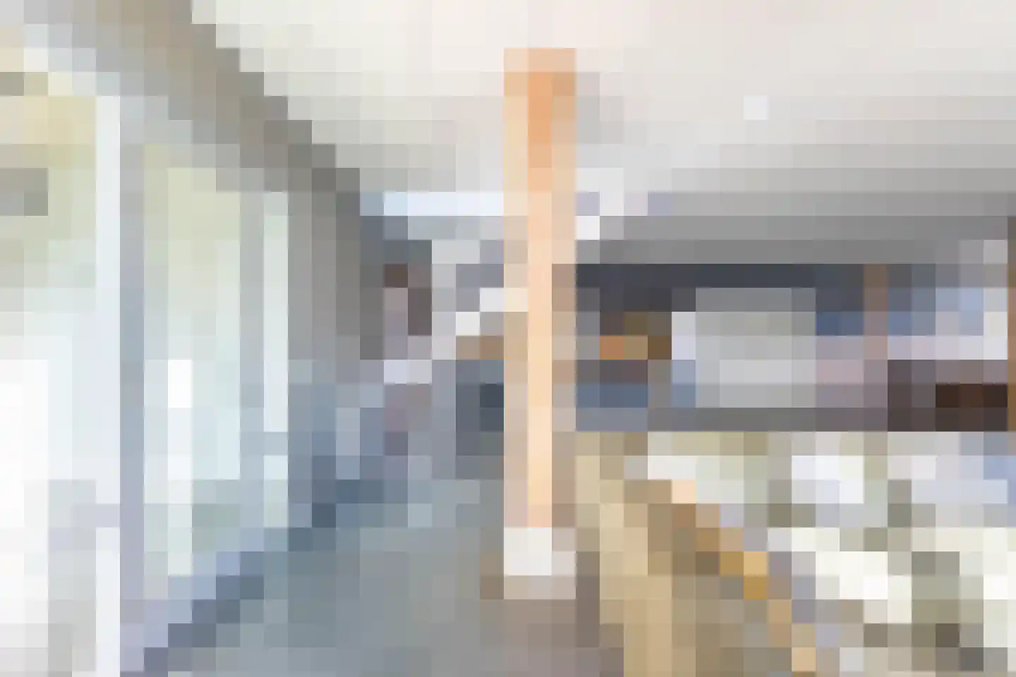 Horsewei 10 Boornzwaag thumbnail 47