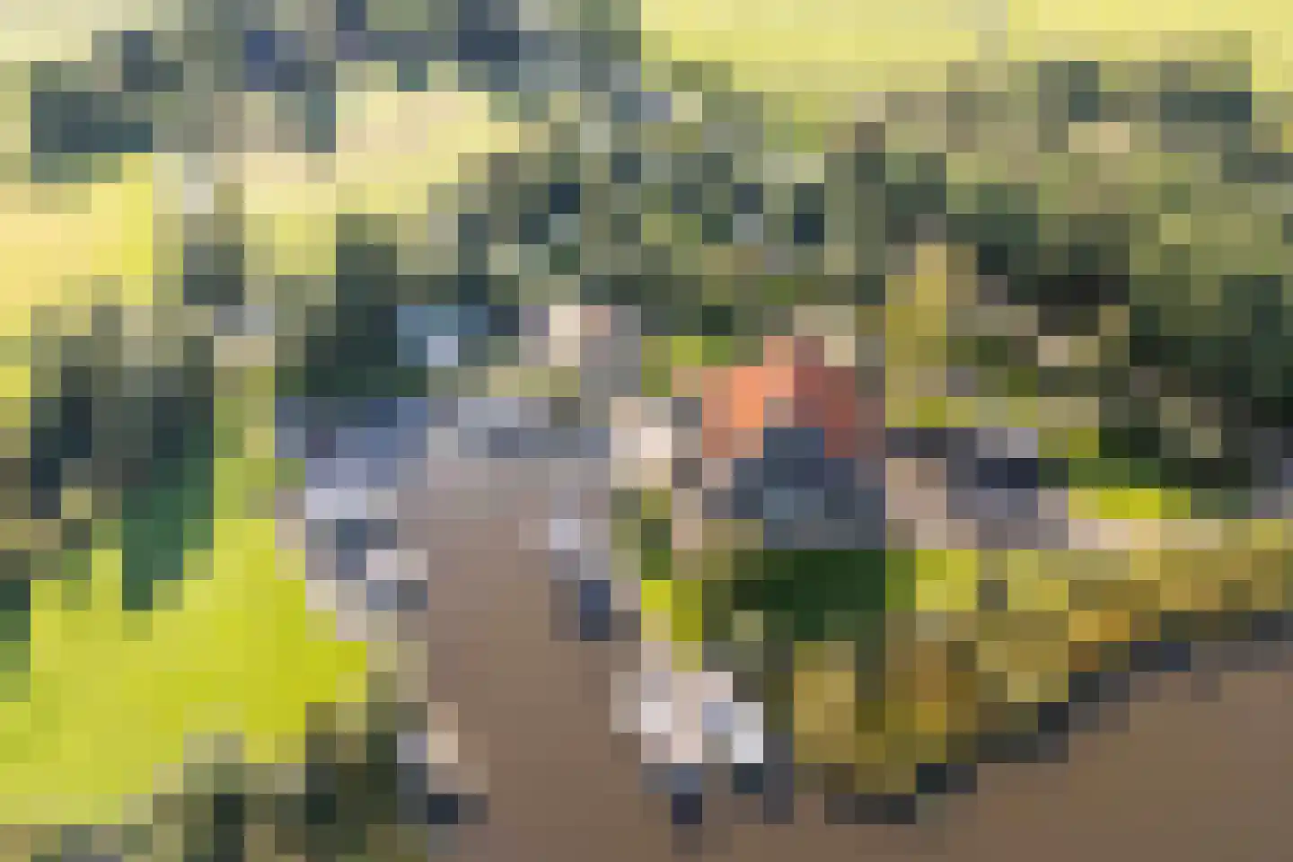 Horsewei 10 Boornzwaag thumbnail 5