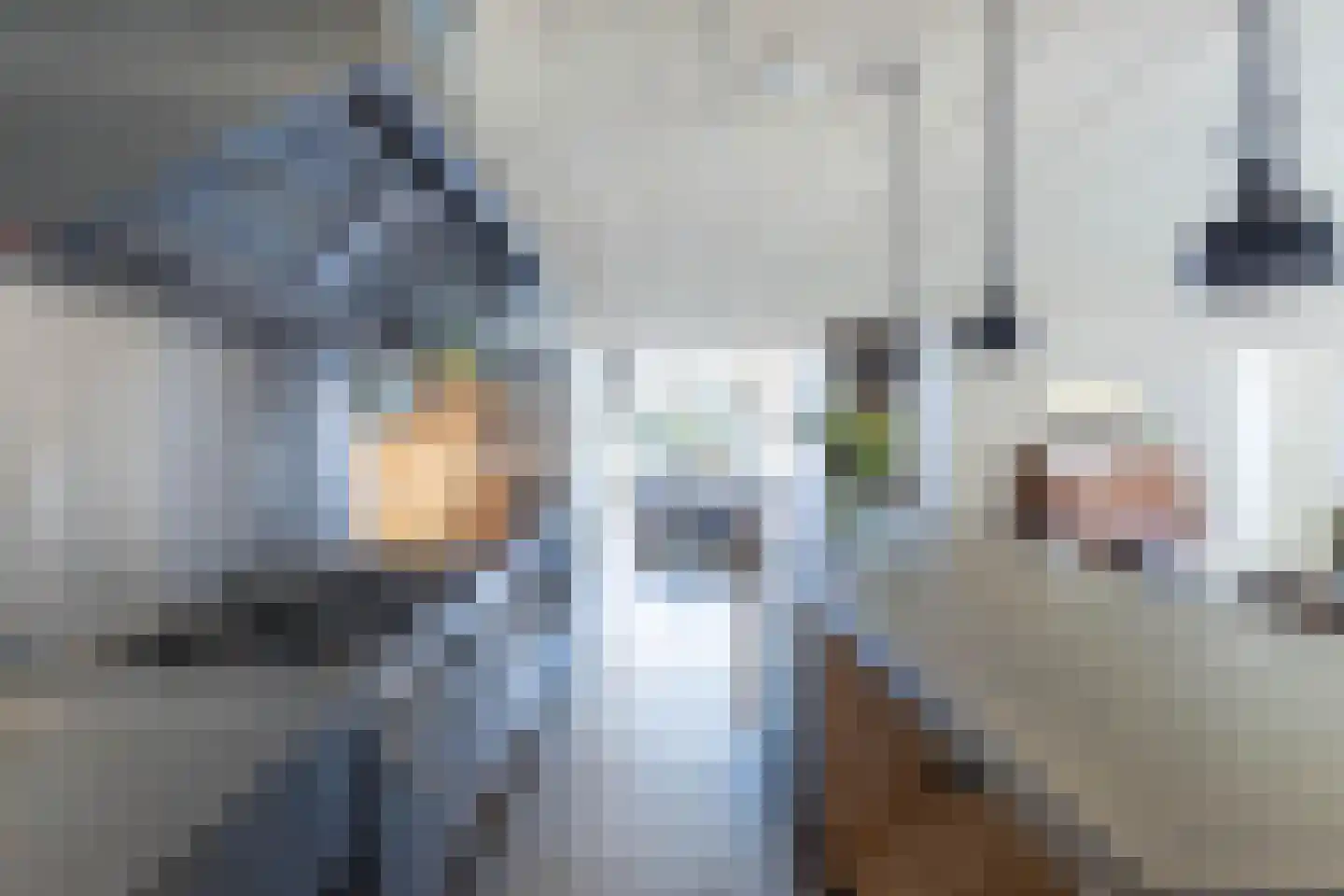 Horsewei 10 Boornzwaag thumbnail 56