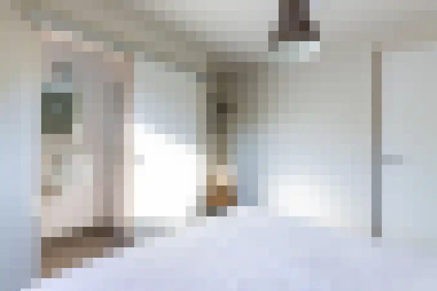 Horsewei 10 Boornzwaag thumbnail 65