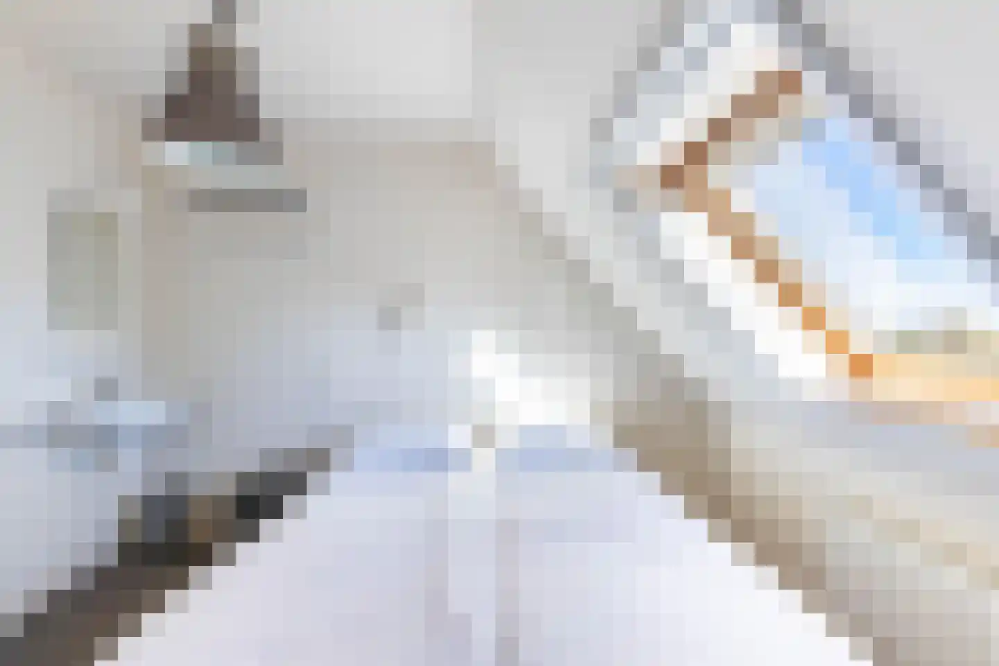 Horsewei 10 Boornzwaag thumbnail 68