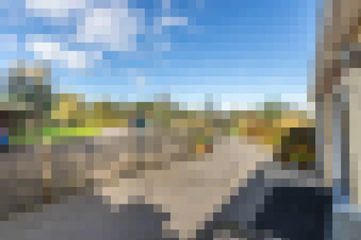 Horsewei 10 Boornzwaag thumbnail 71