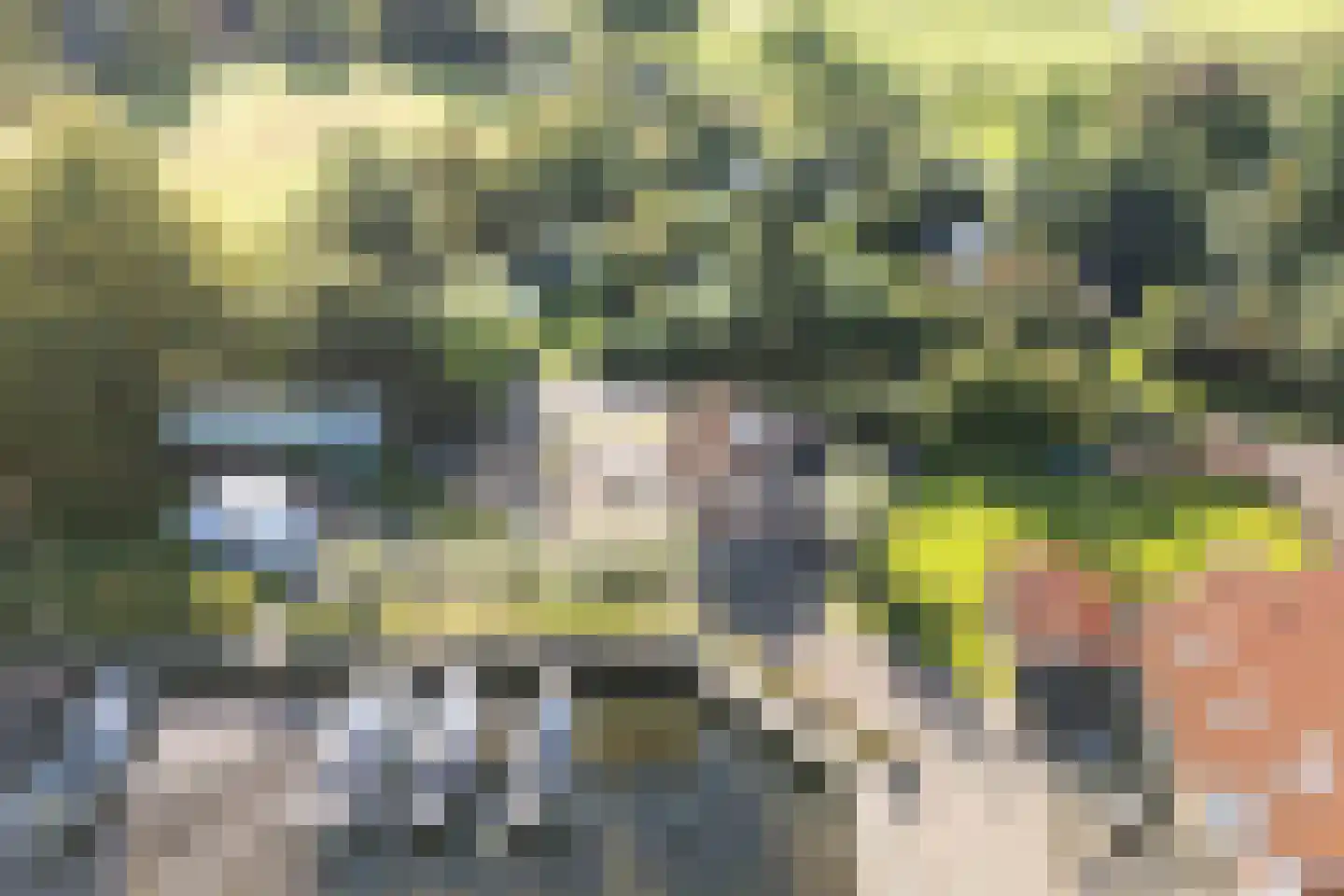 Horsewei 10 Boornzwaag thumbnail 78