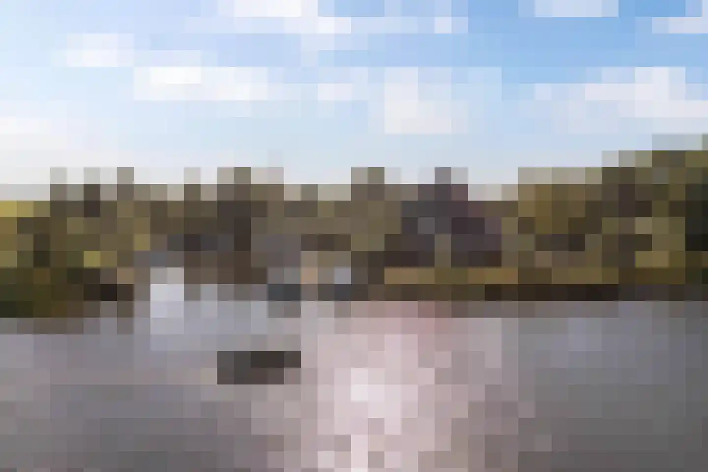 Horsewei 10 Boornzwaag thumbnail 79
