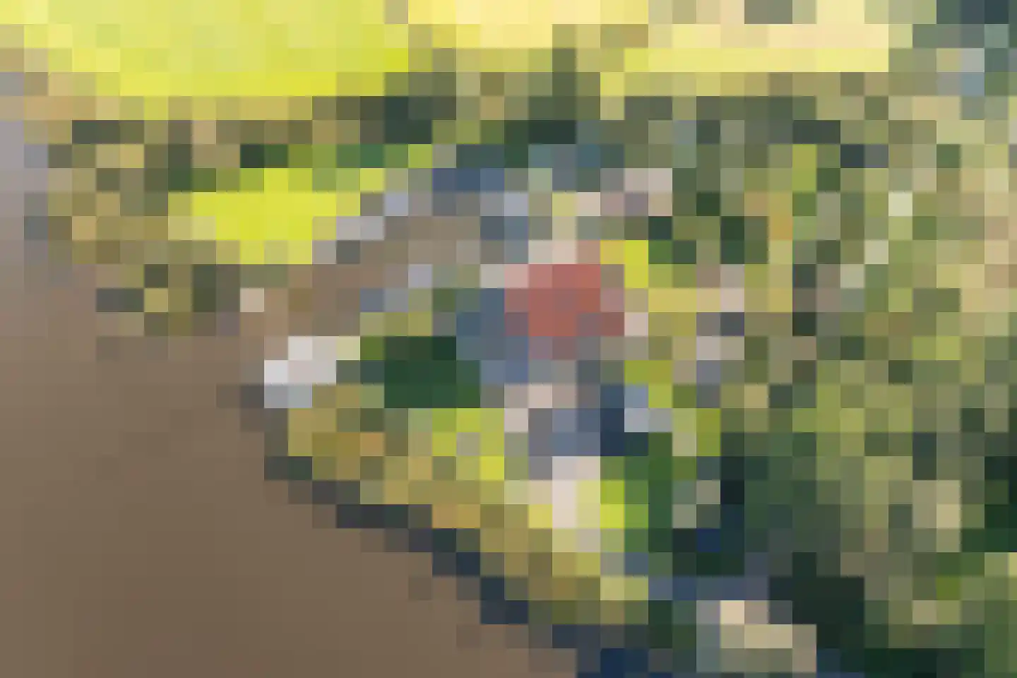 Horsewei 10 Boornzwaag thumbnail 80