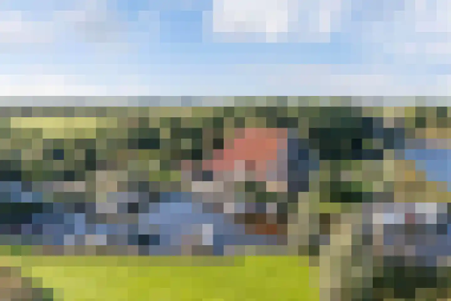 Horsewei 10 Boornzwaag thumbnail 81