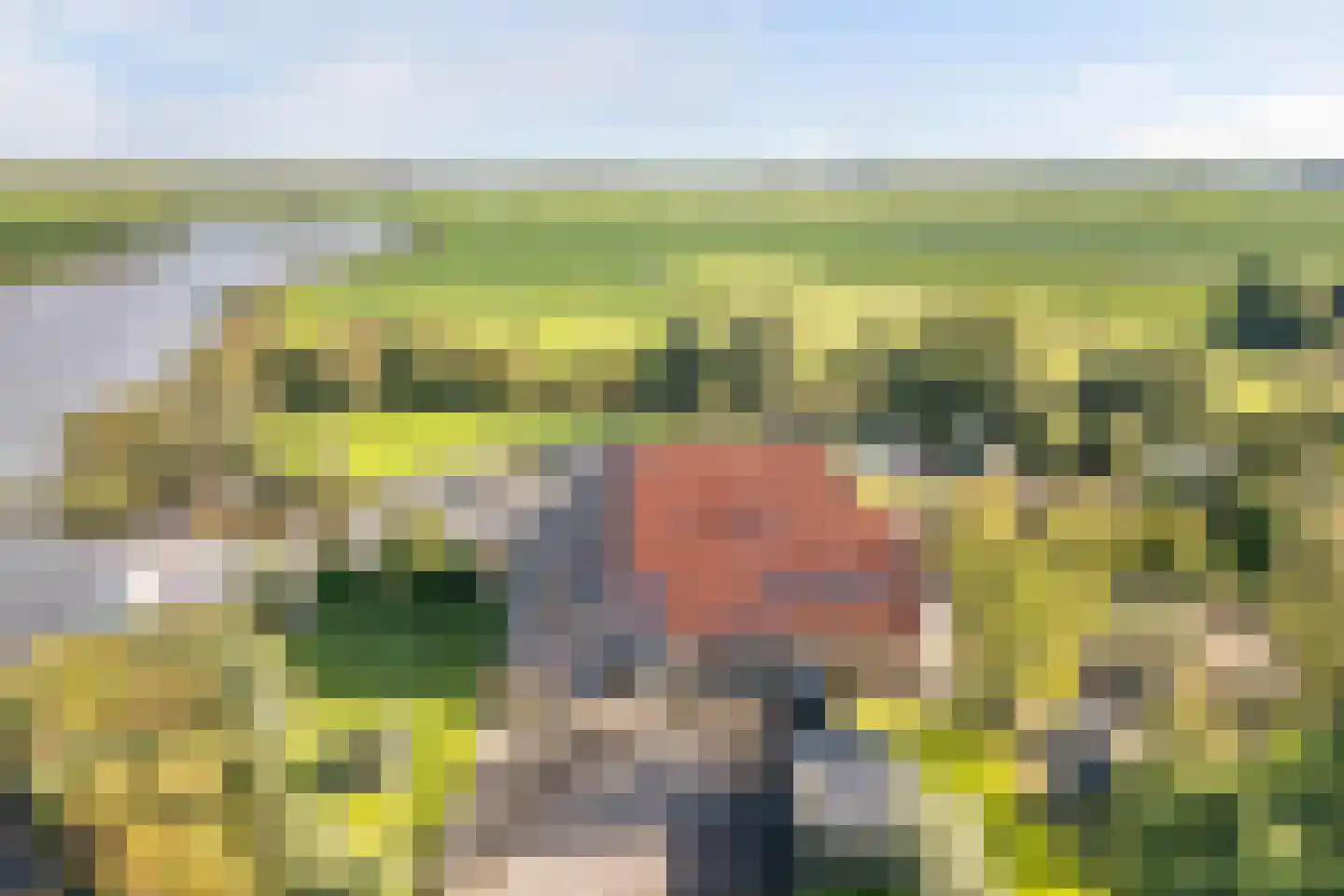 Horsewei 10 Boornzwaag thumbnail 82