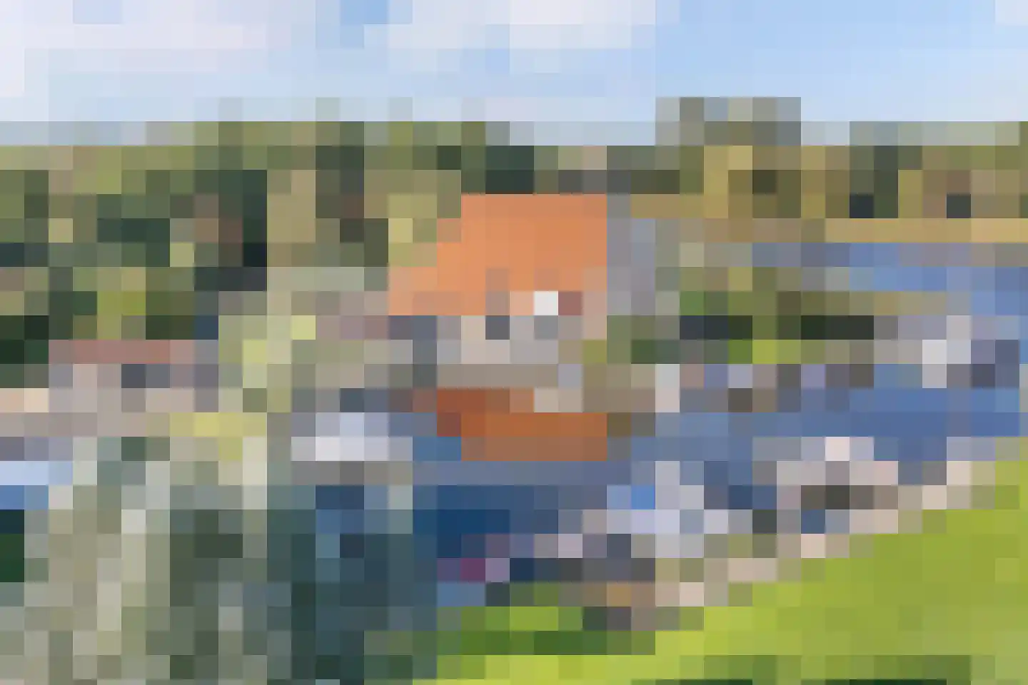 Horsewei 10 Boornzwaag thumbnail 86