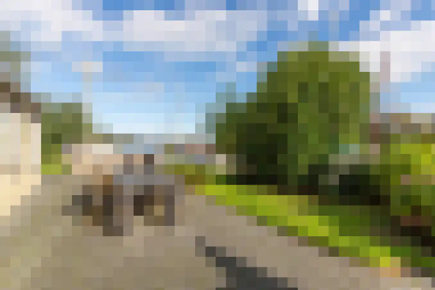 Horsewei 10 Boornzwaag thumbnail 90