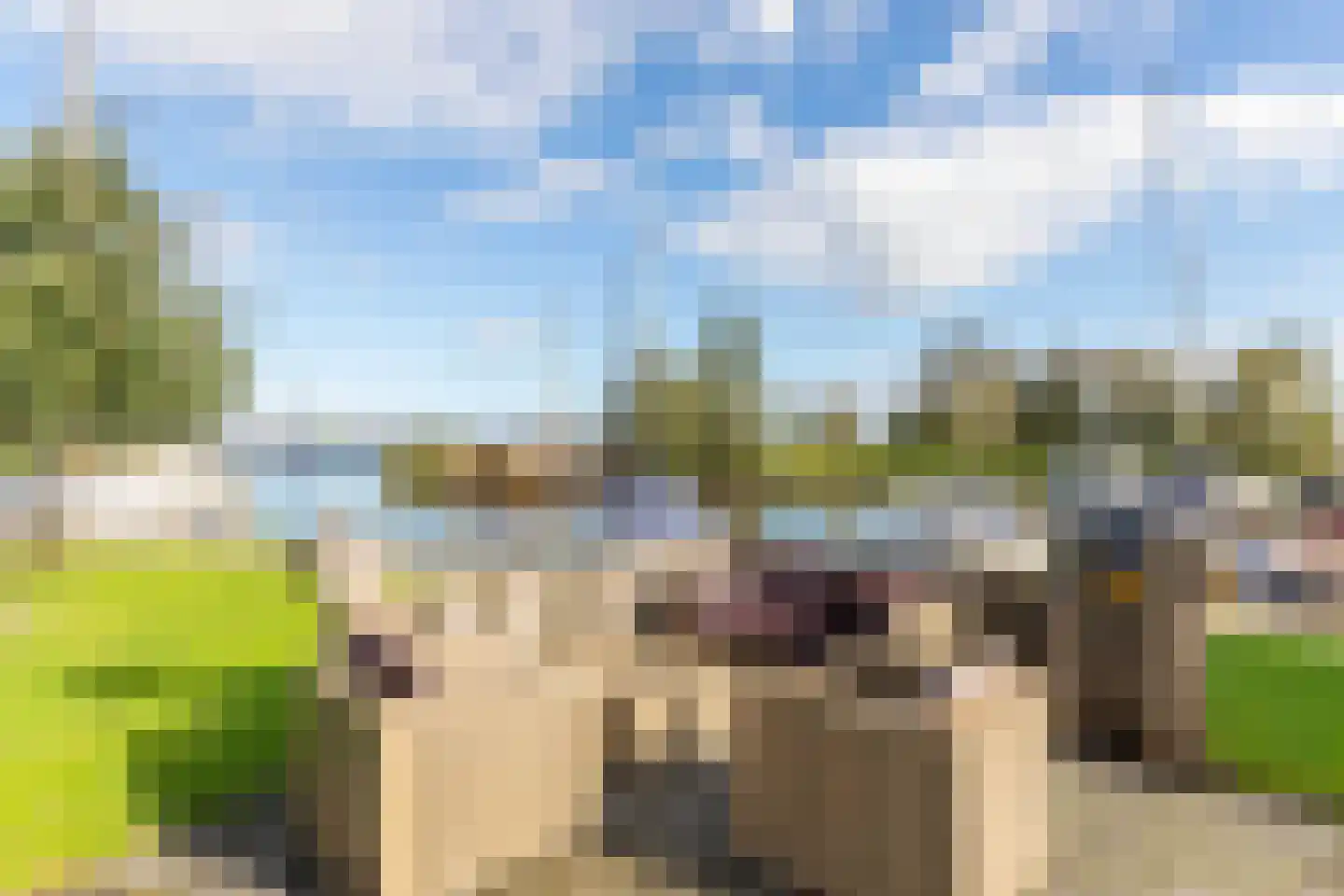 Horsewei 10 Boornzwaag thumbnail 91