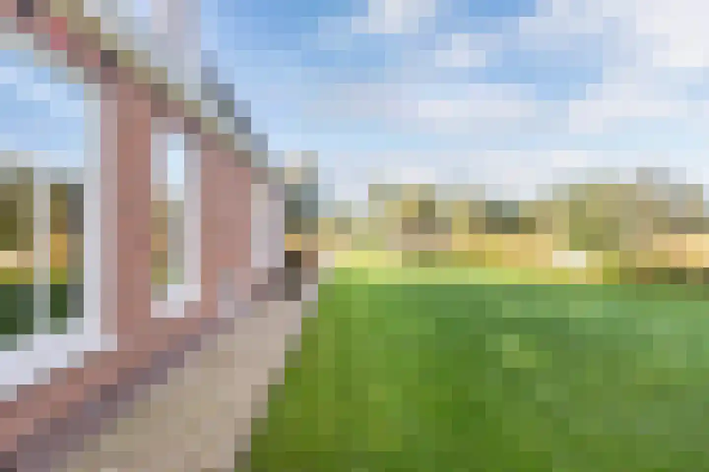 Horsewei 10 Boornzwaag thumbnail 93