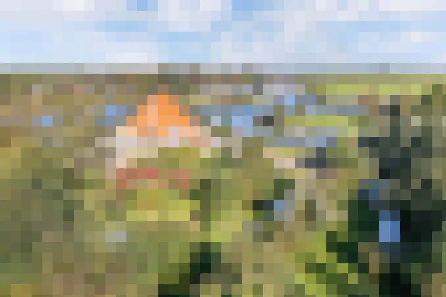 Horsewei 10 Boornzwaag thumbnail 95