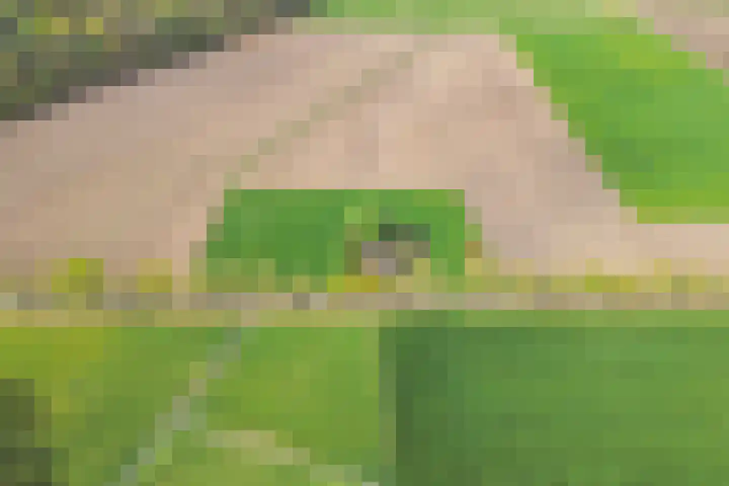 Horst 1 Gilze thumbnail 14