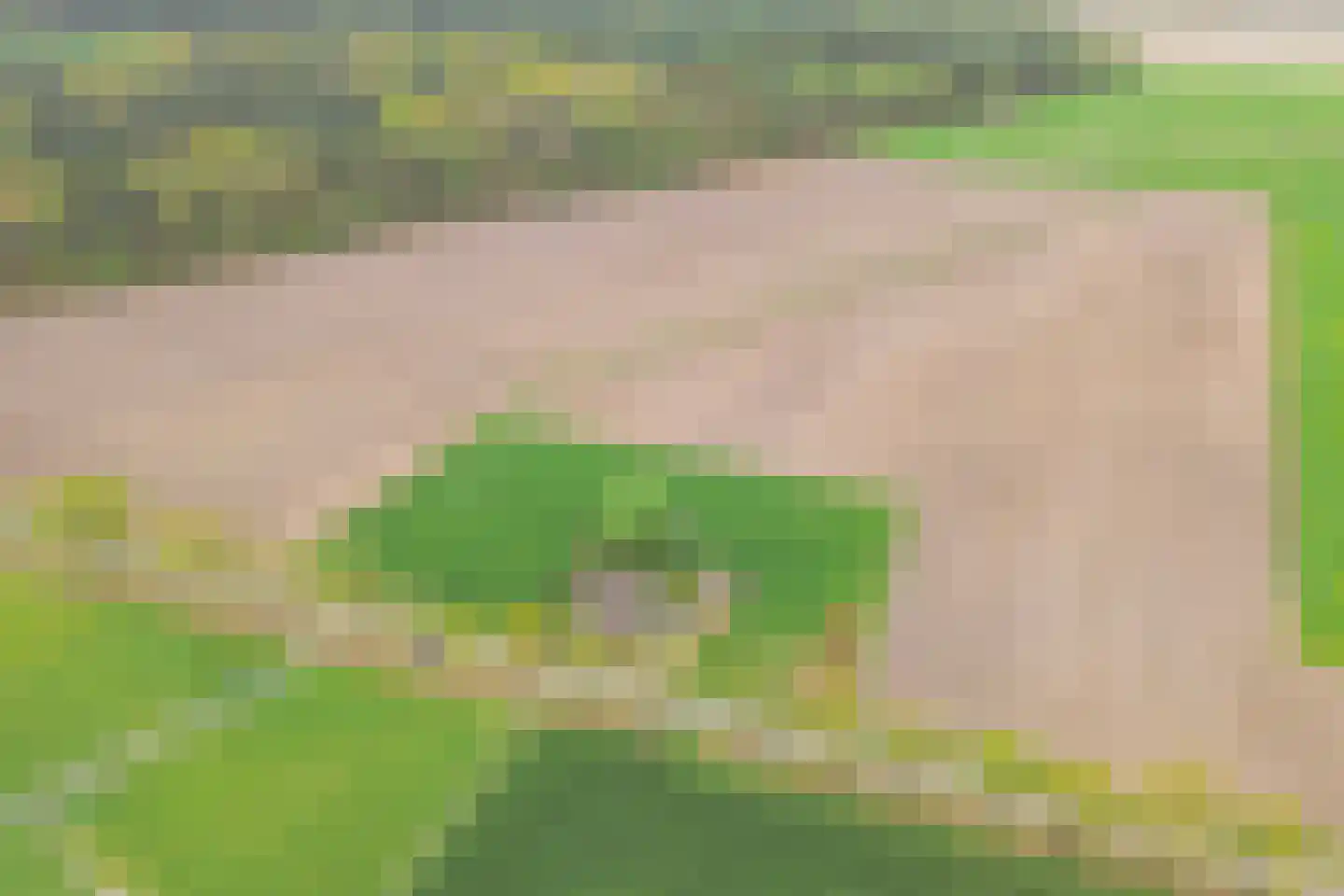 Horst 1 Gilze thumbnail 16