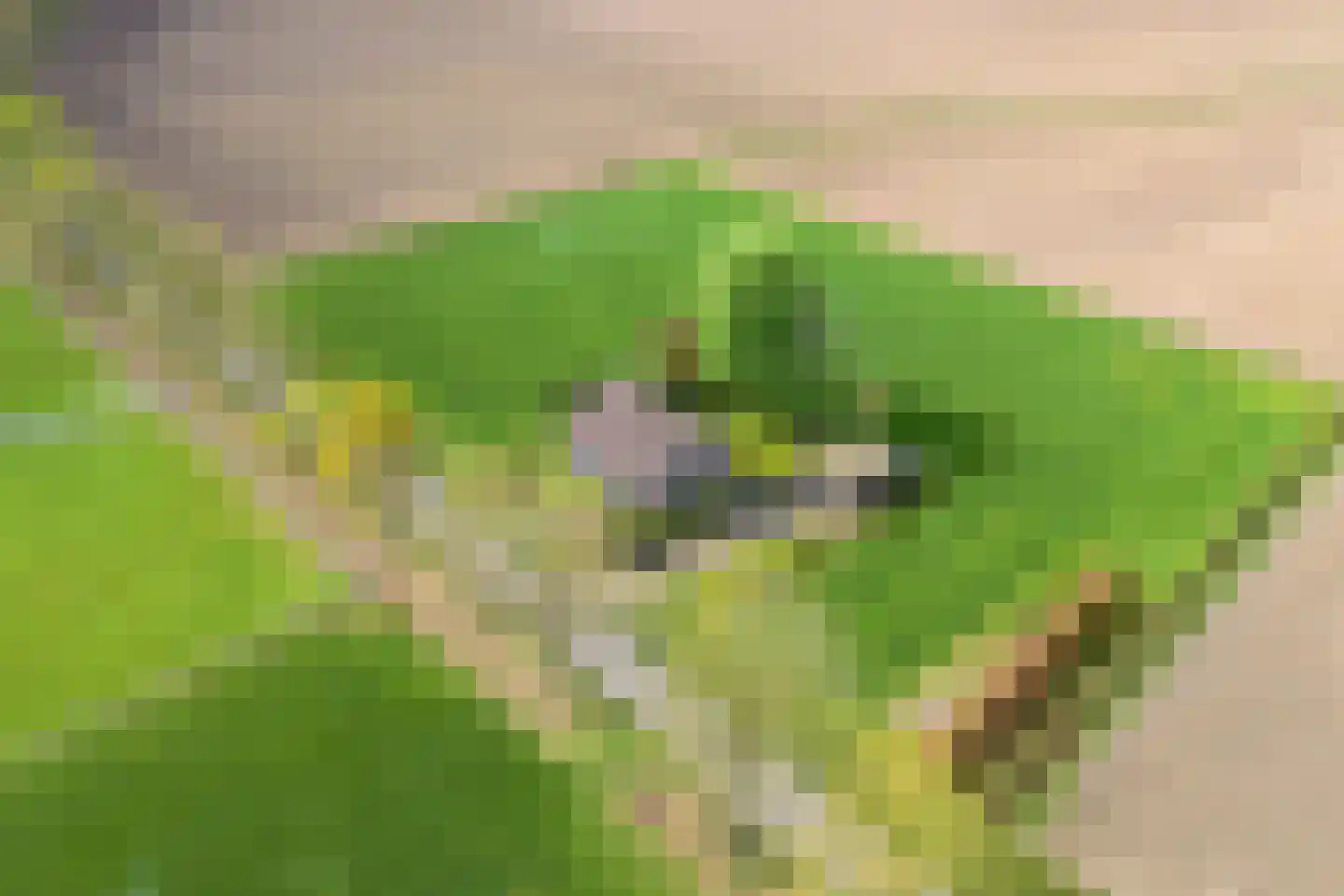 Horst 1 Gilze thumbnail 17
