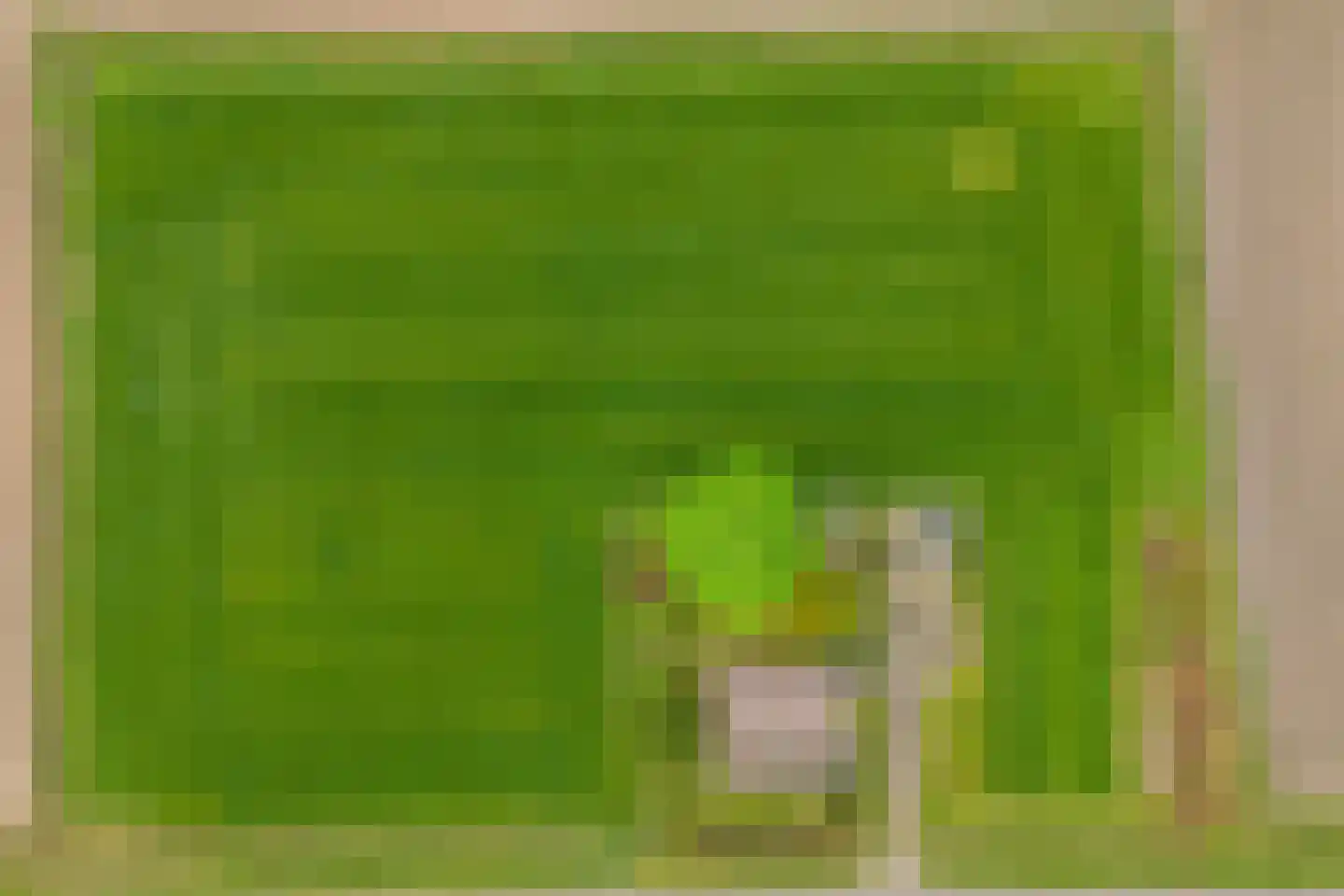 Horst 1 Gilze thumbnail 19