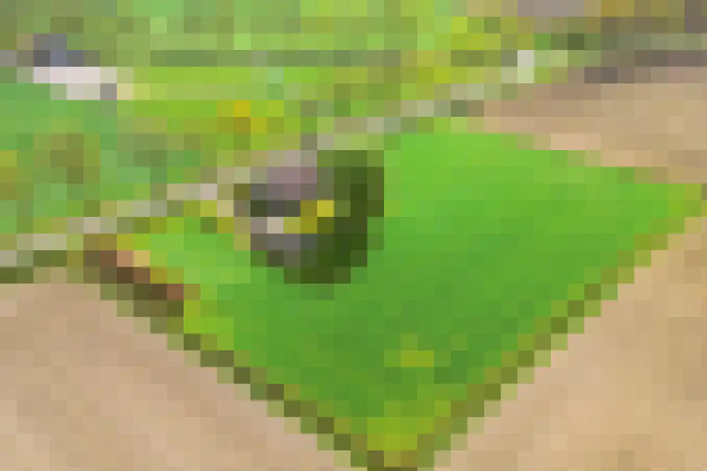 Horst 1 Gilze thumbnail 20