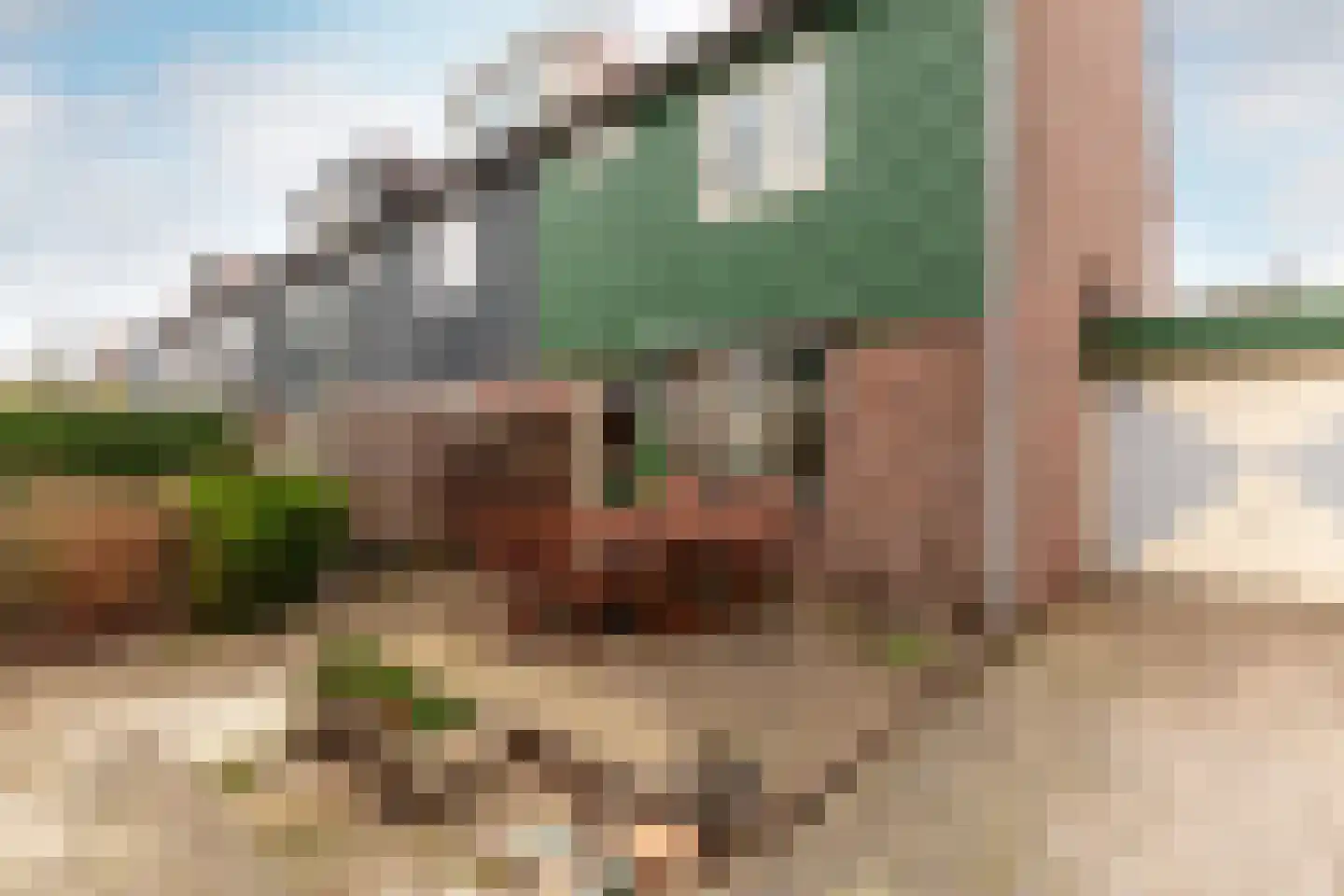 Horst 10 10 11 Lelystad thumbnail 12