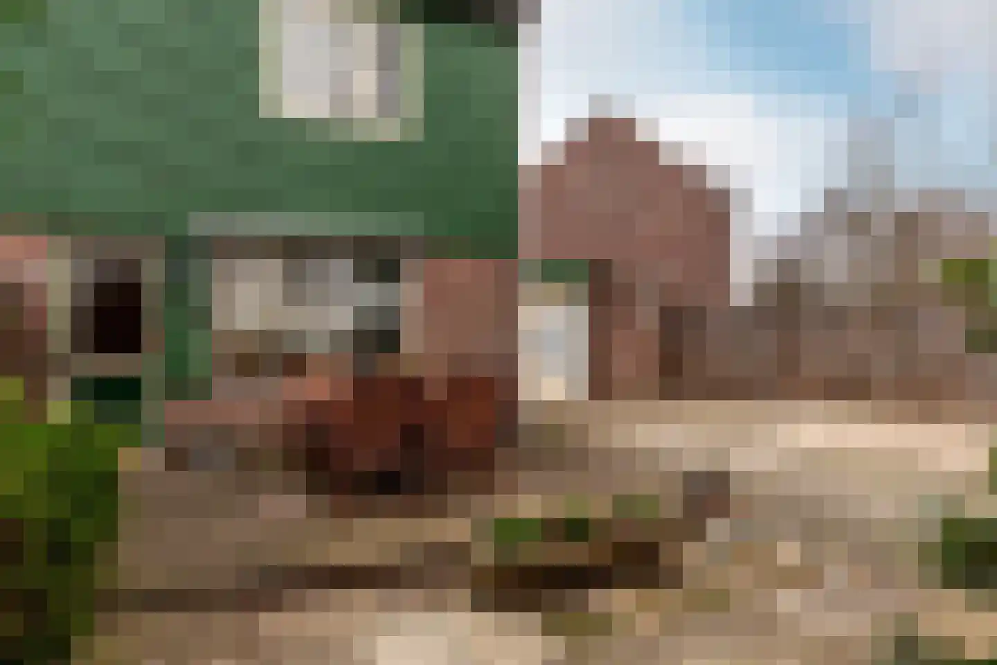 Horst 10 10 11 Lelystad thumbnail 13