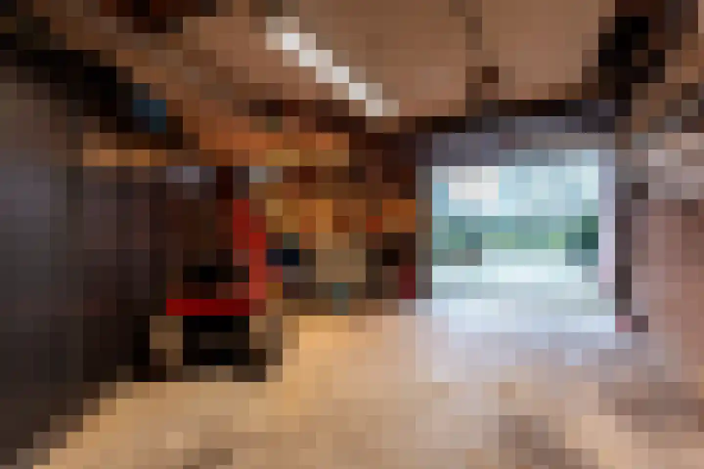 Horst 10 10 11 Lelystad thumbnail 51