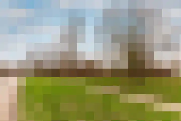 Horst 10 10 11 Lelystad thumbnail 55