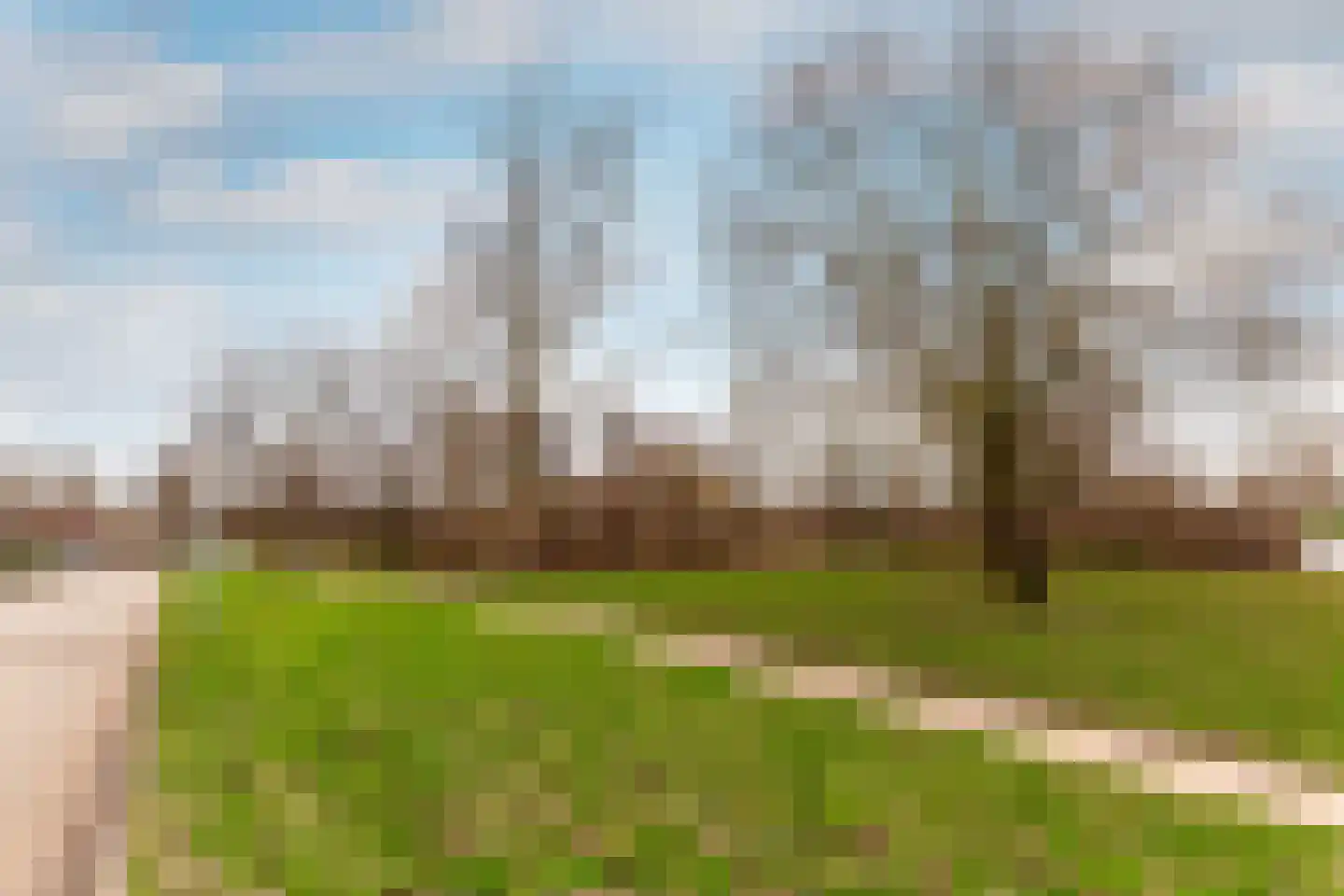 Horst 10 10 11 Lelystad thumbnail 55