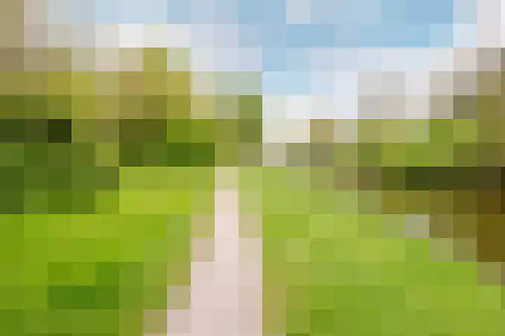 Horst 10 10 29 Lelystad thumbnail 34