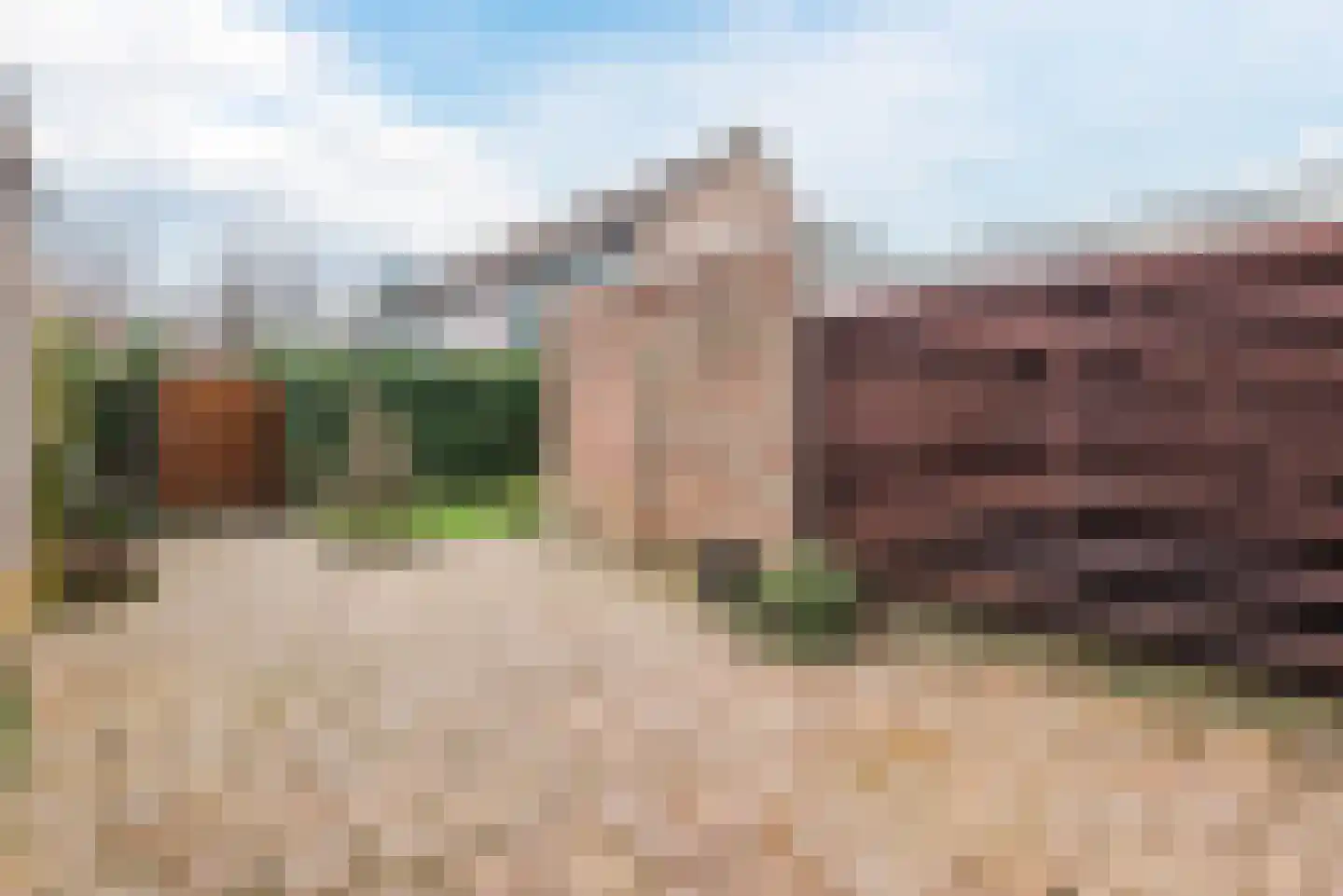 Horst 10 15 Lelystad thumbnail 35