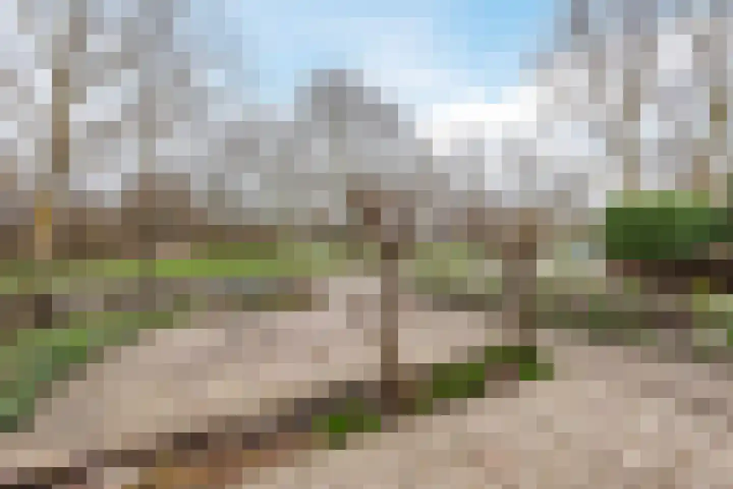 Horst 10 15 Lelystad thumbnail 7