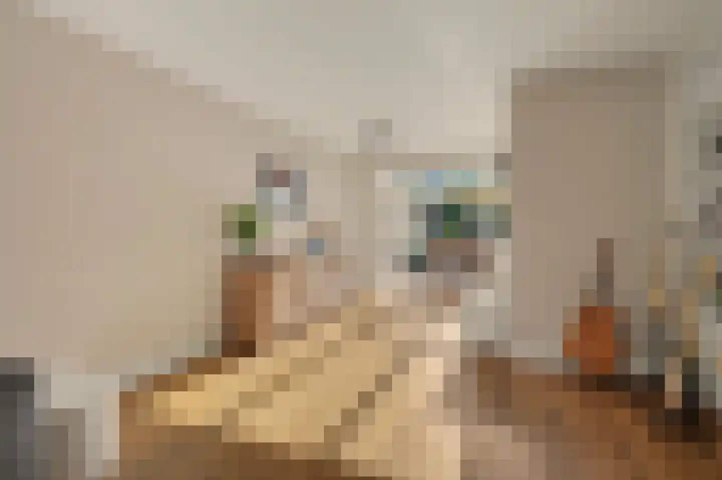 Horst 10 Chaam thumbnail 17