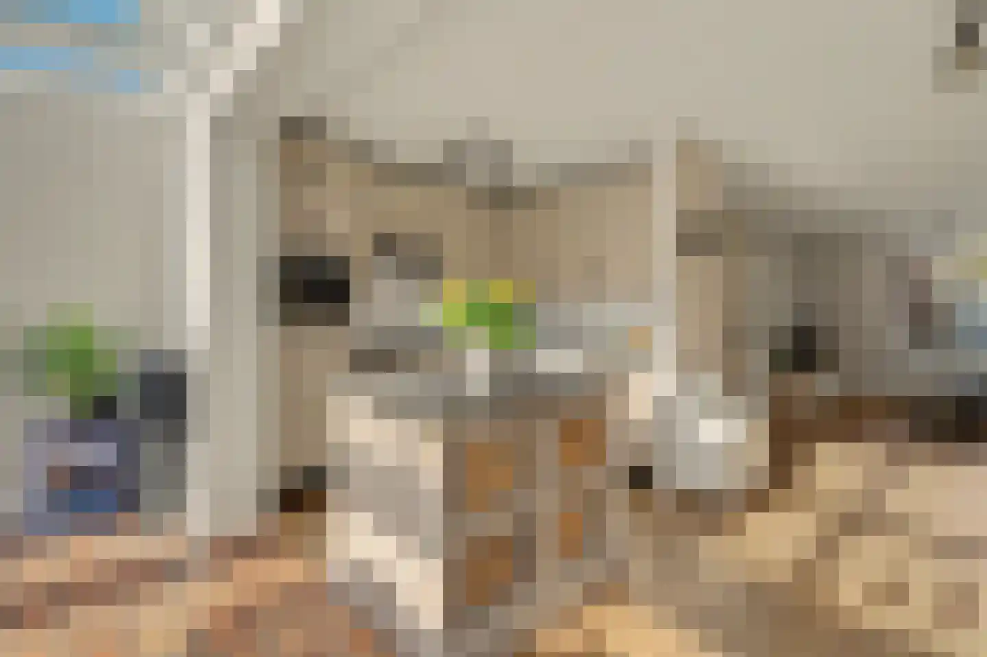 Horst 10 Chaam thumbnail 22