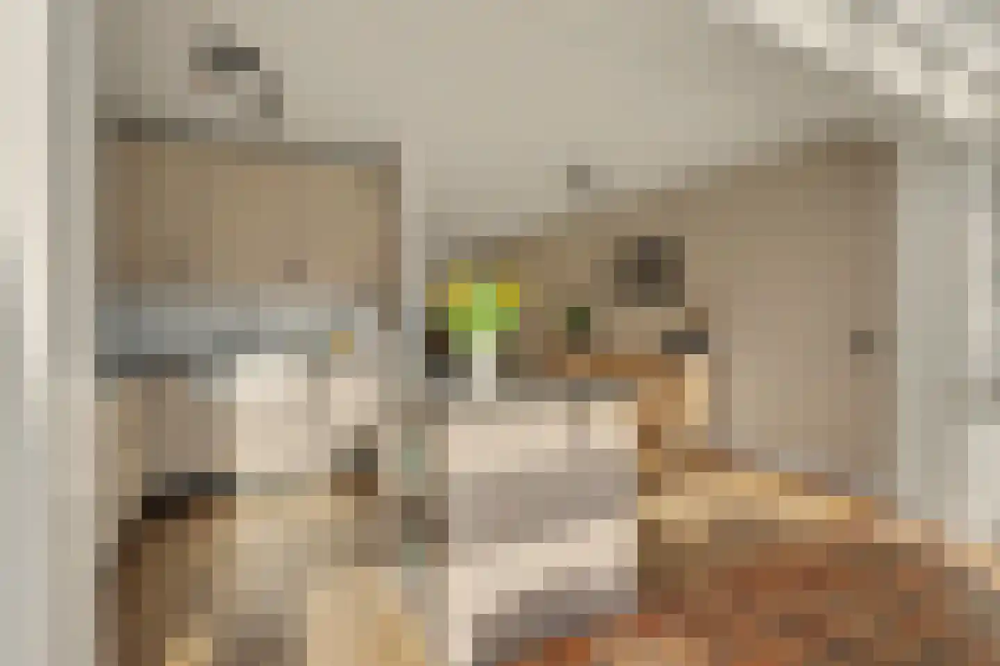 Horst 10 Chaam thumbnail 24
