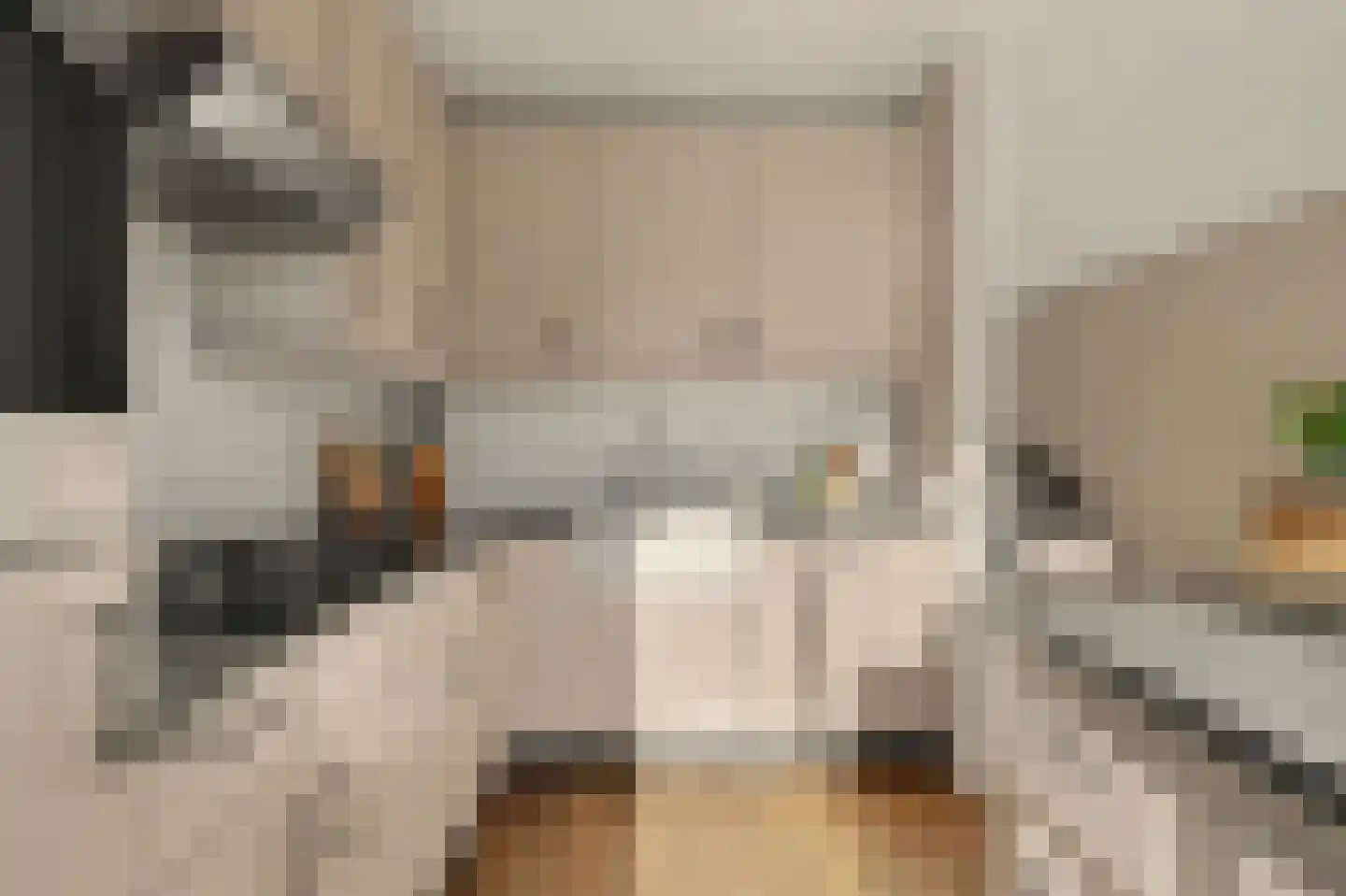 Horst 10 Chaam thumbnail 25