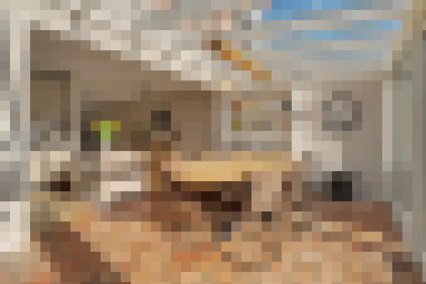 Horst 10 Chaam thumbnail 27
