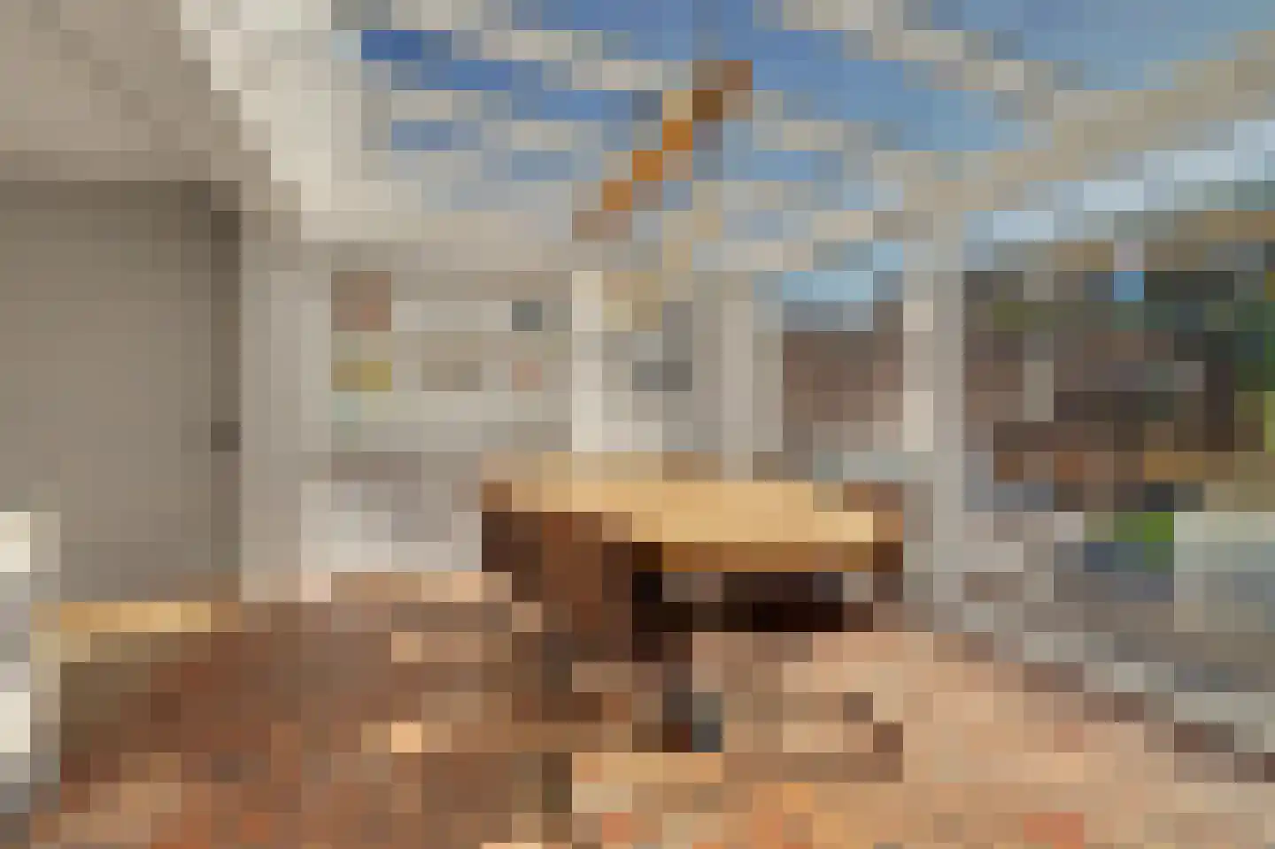 Horst 10 Chaam thumbnail 28