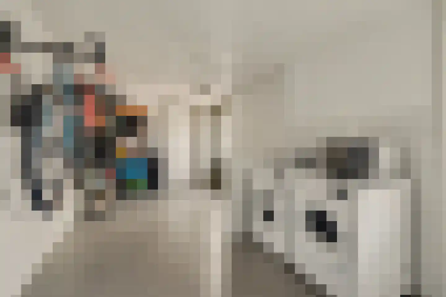 Horst 10 Chaam thumbnail 34