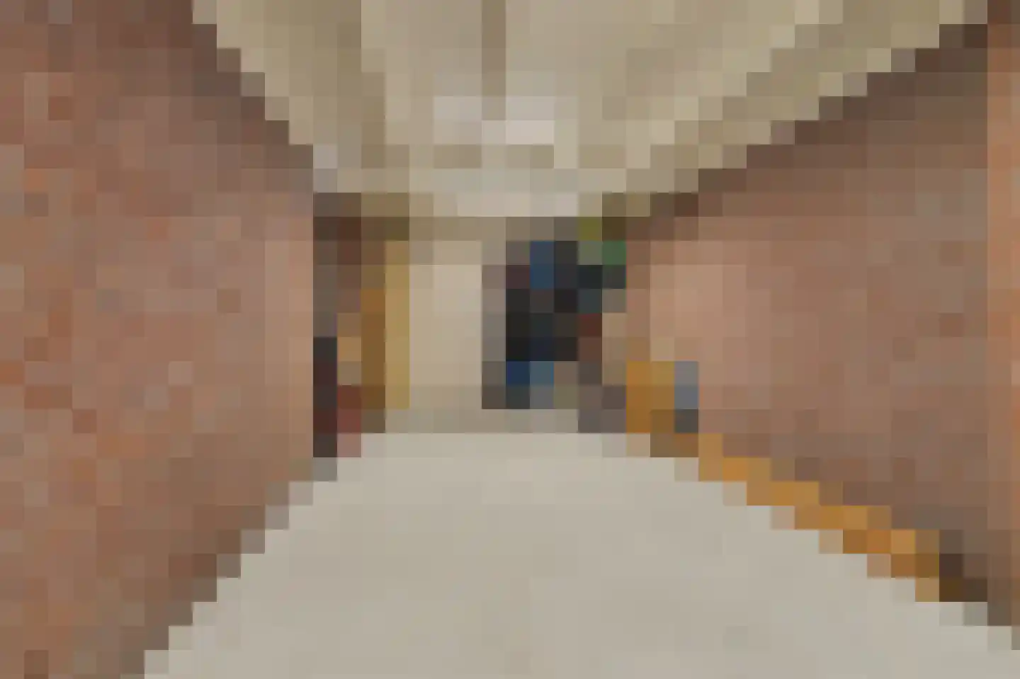 Horst 10 Chaam thumbnail 37