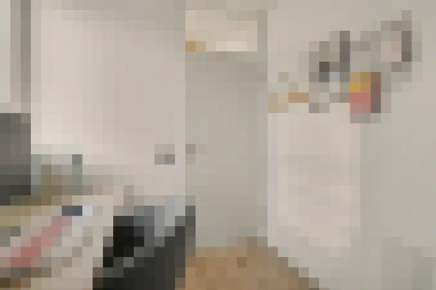 Horst 10 Chaam thumbnail 40