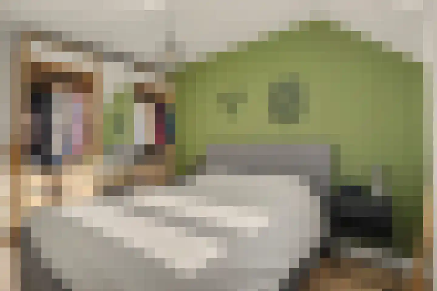 Horst 10 Chaam thumbnail 42