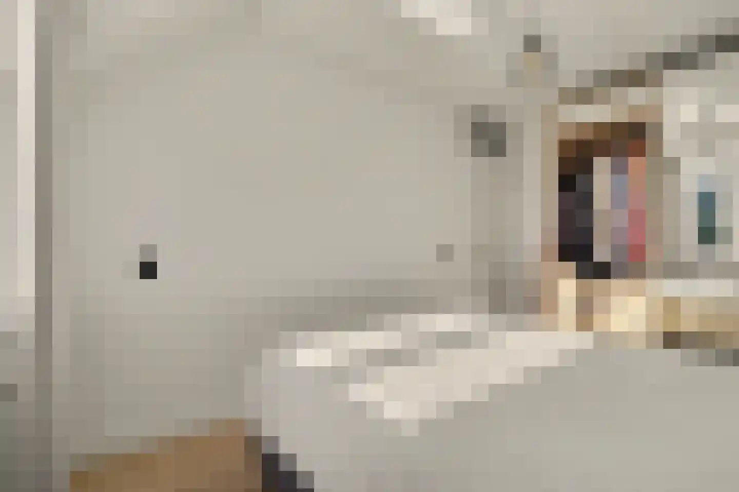 Horst 10 Chaam thumbnail 44