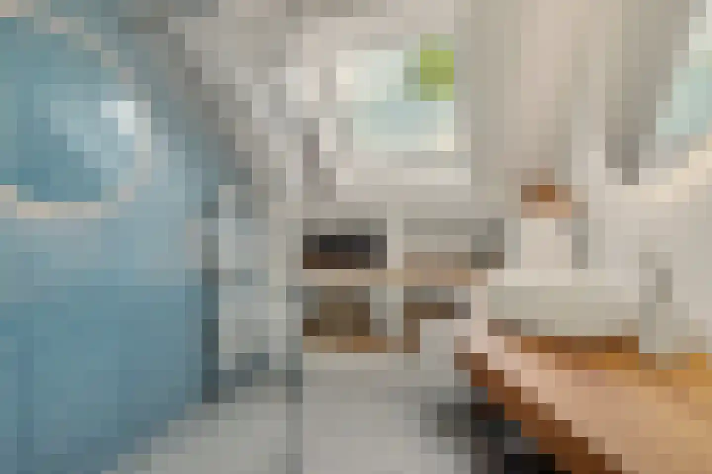 Horst 10 Chaam thumbnail 47