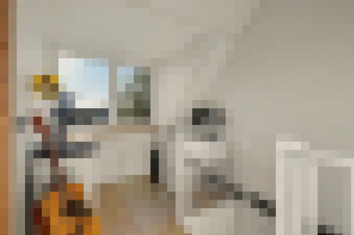 Horst 10 Chaam thumbnail 50