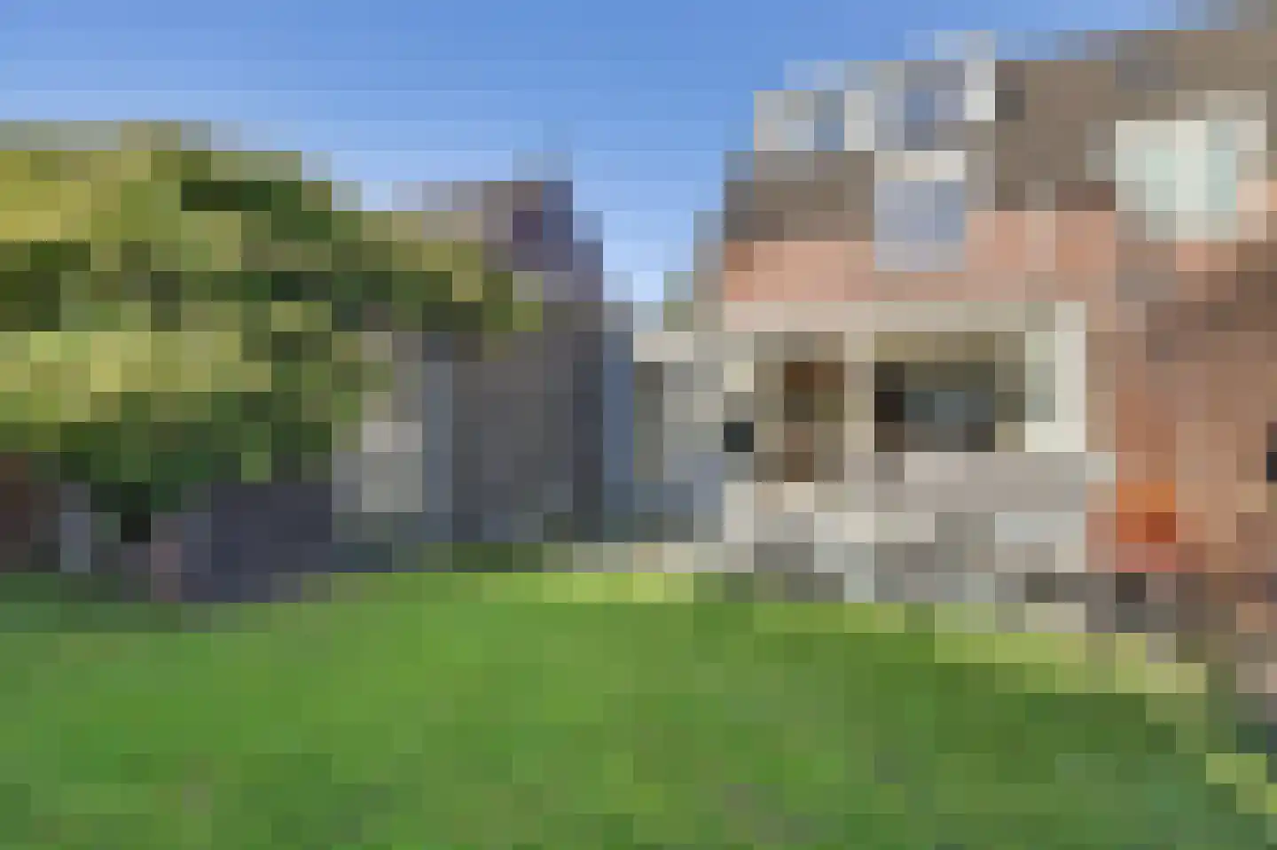 Horst 10 Chaam thumbnail 55