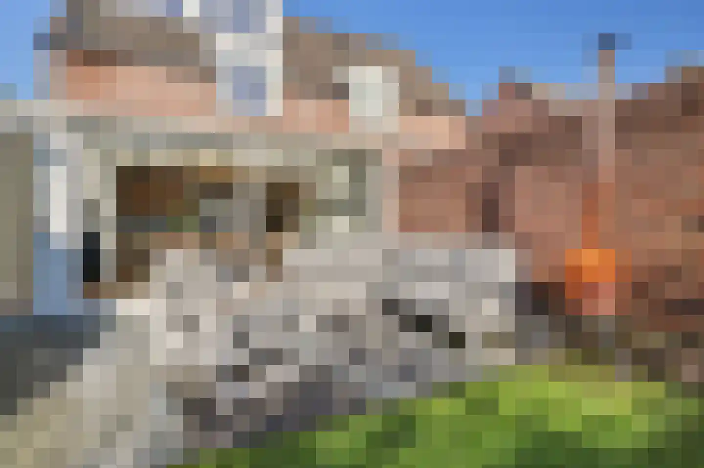Horst 10 Chaam thumbnail 60
